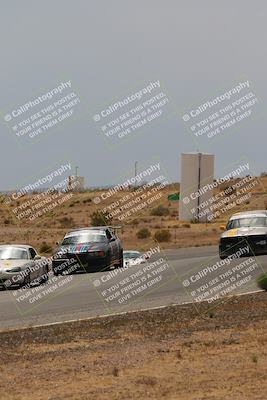 media/May-03-2025-Lucky Dog Racing (Sat) [[206de64b9d]]/Turn 6 (150pm-230pm)/